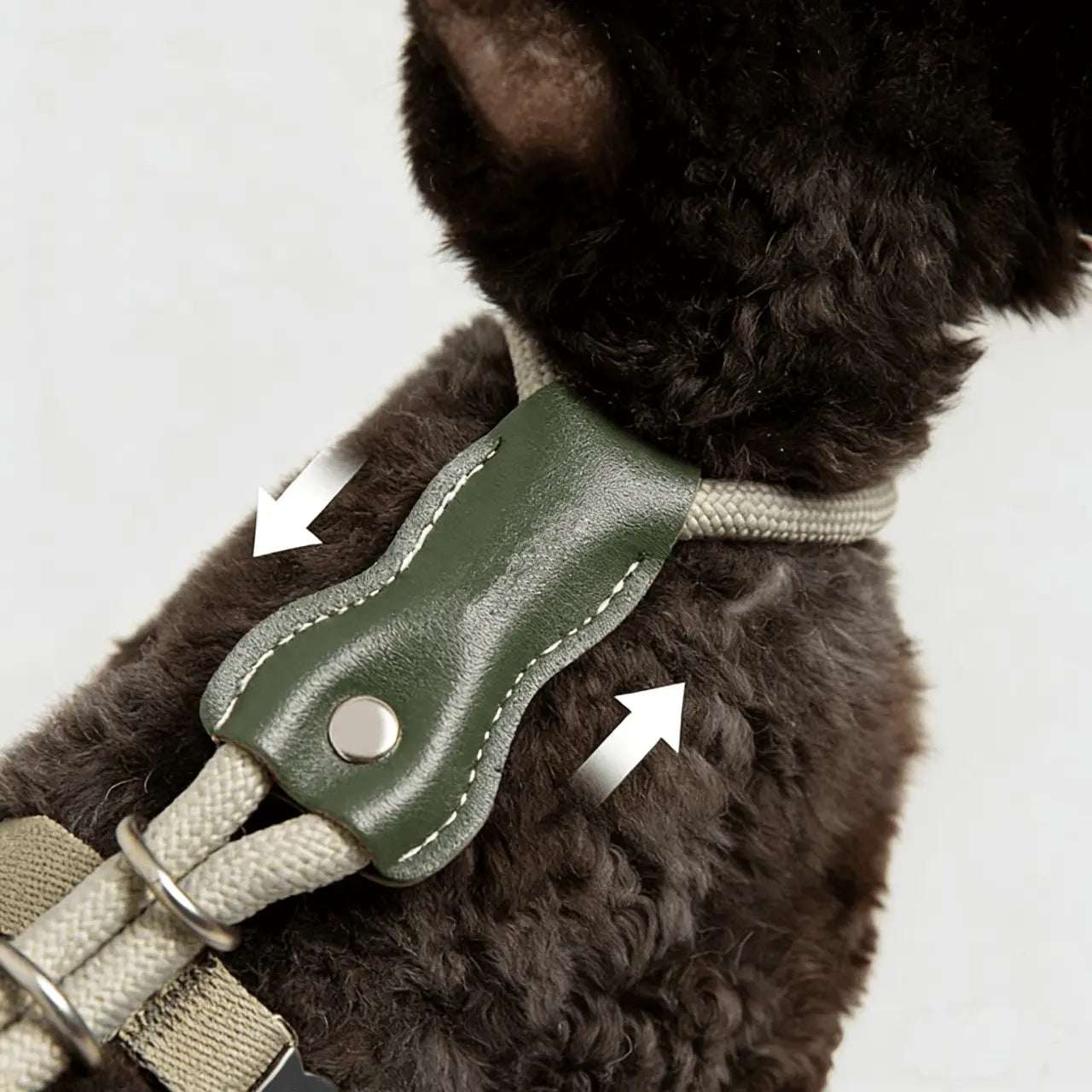Adjustable H-Style Cat Harness and Leash Set with Premium Leather Finish | Comfortable & Secure Fit for Cats 5