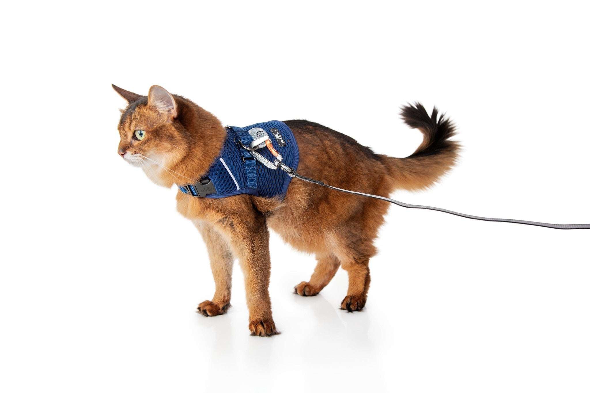 Calming Cat Harness and Leash Set with Adjustable Fit | Martingale Design for Anxiety Relief 10