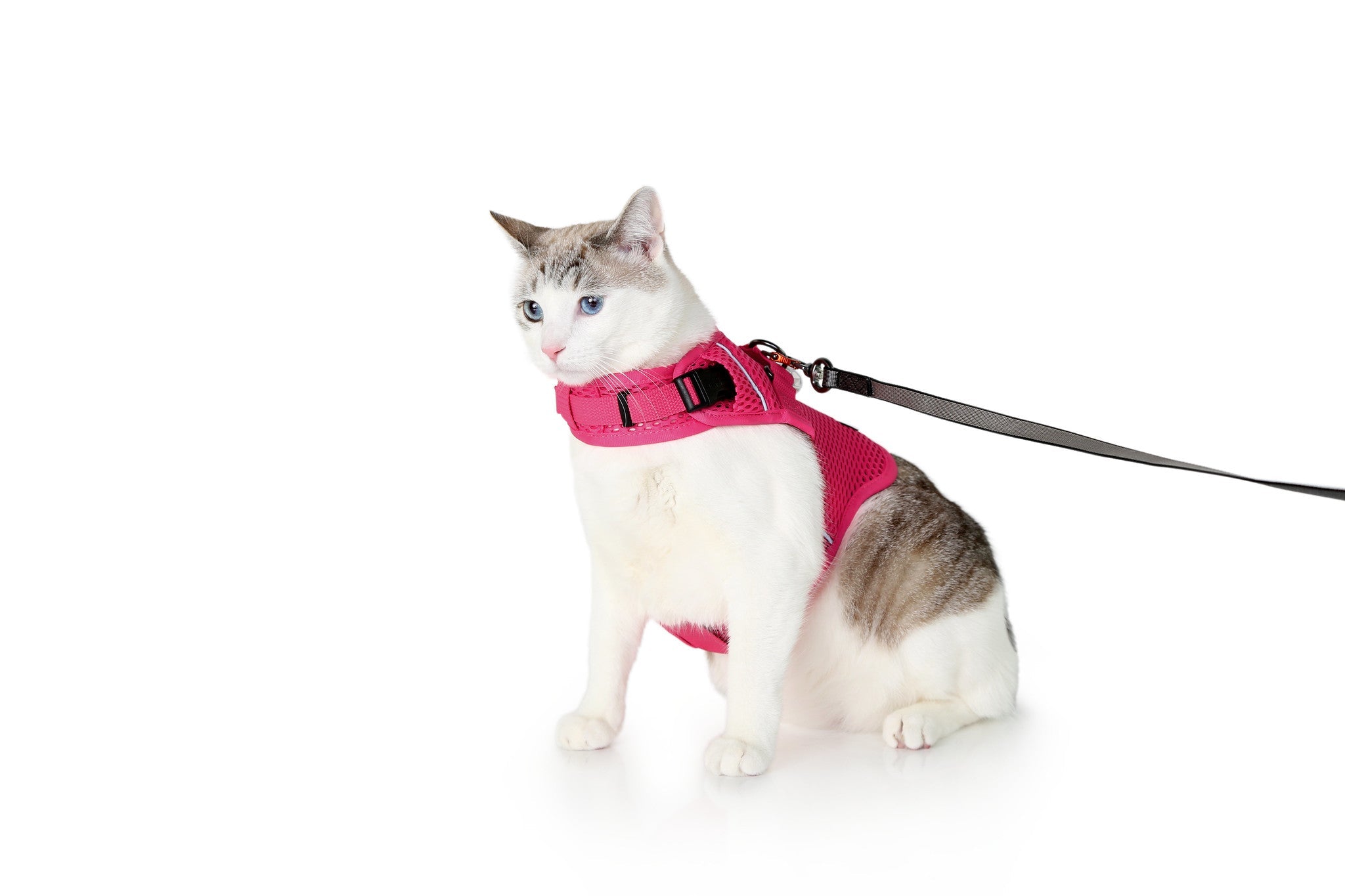 Calming Cat Harness and Leash Set with Adjustable Fit | Martingale Design for Anxiety Relief 1