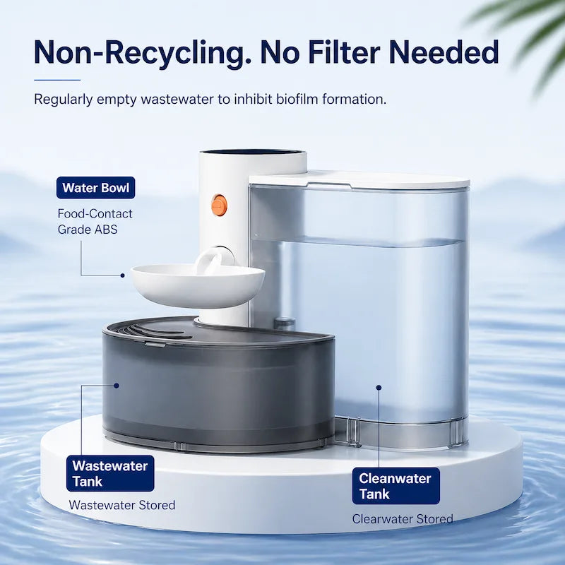 Cat Water Fountain | Filterless Design, Quiet Operation & Continuous Flow for Healthy Hydration 2