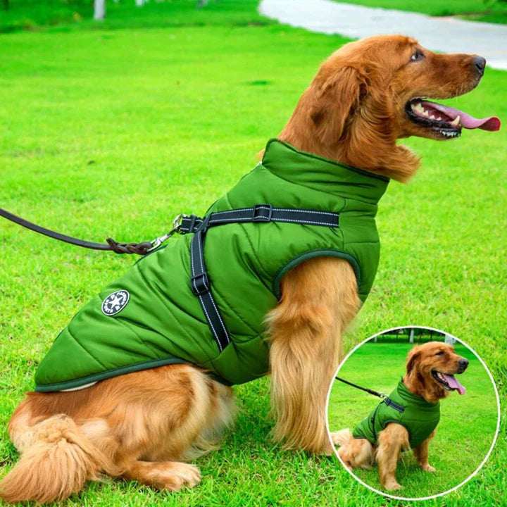 Dog Winter Jacket with Integrated Harness – Water-Resistant, Reflective Cold Weather Coat 4