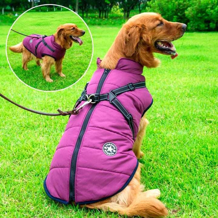 Dog Winter Jacket with Integrated Harness – Water-Resistant, Reflective Cold Weather Coat 5