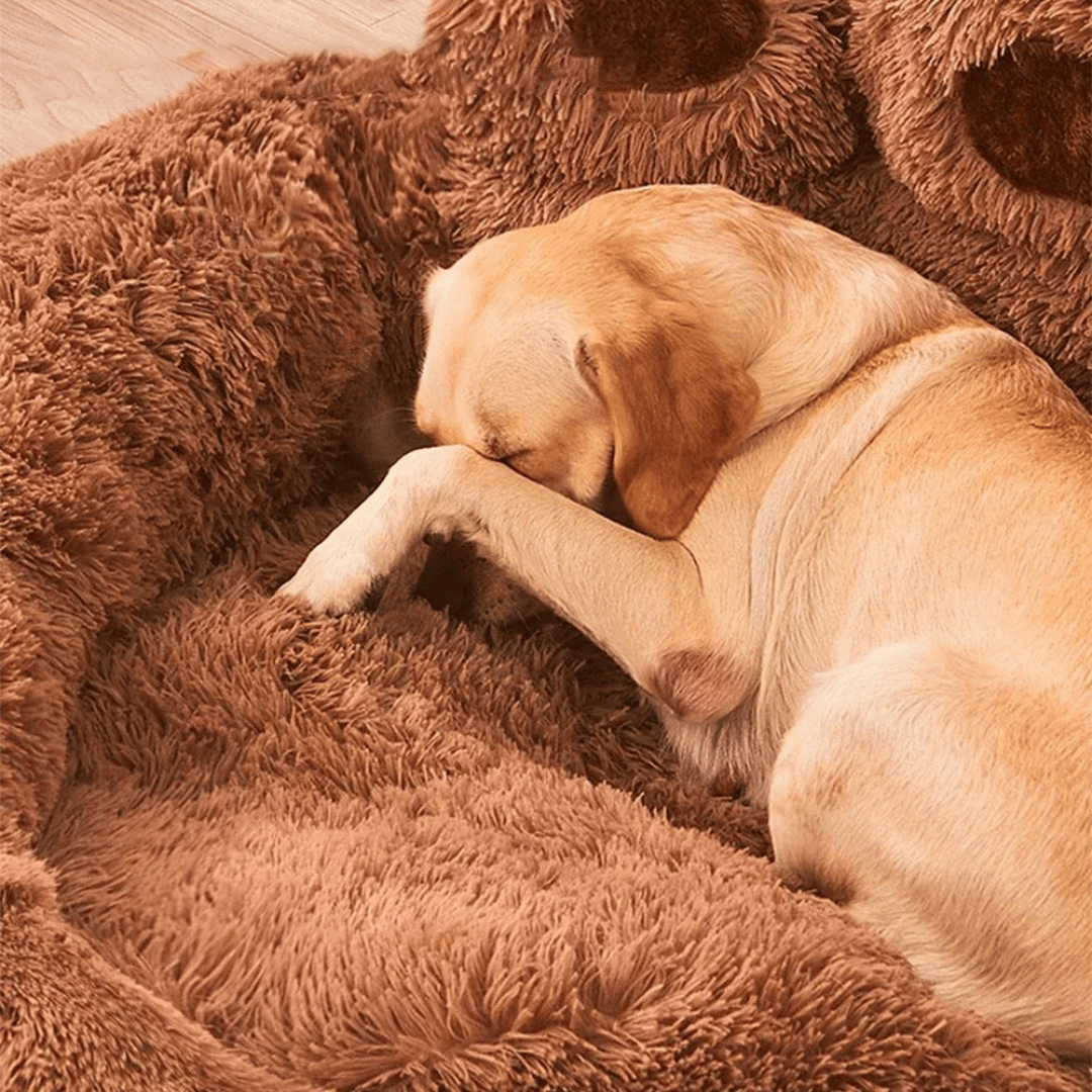 Dog Bed | Fluffy Paw-Shaped Design | Ultra-Soft Plush Material | Raised Edges for Secure Support 6
