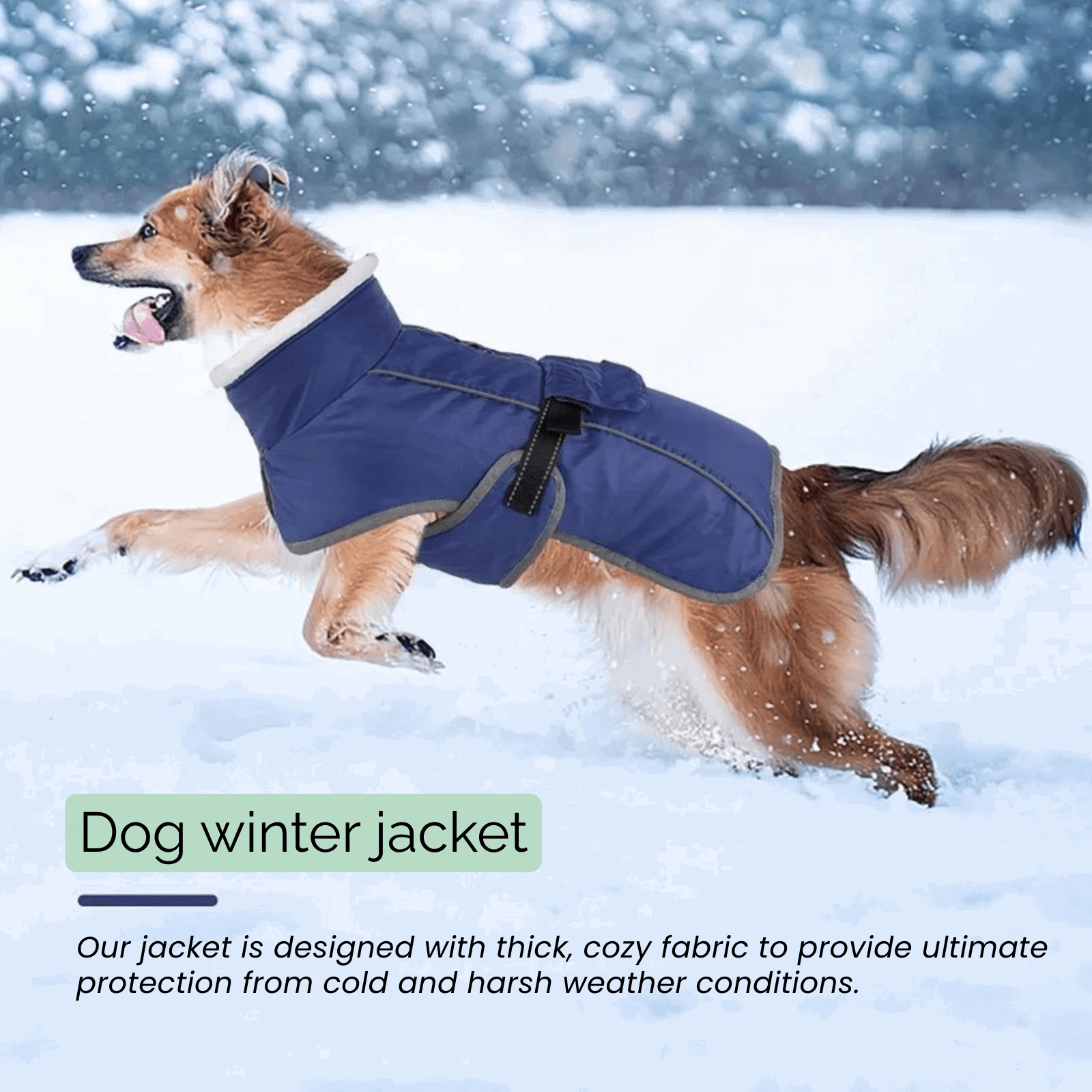 Dog Coat for Winter | Durable Fabric with Reflective Safety Details | Keeps Large Dogs Warm and Visible 1