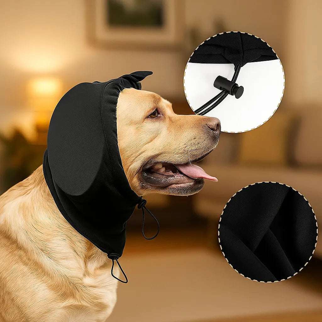 Dog Hearing Protection | Noise Protection Against Fear, New Year's Eve & Thunderstorms 2