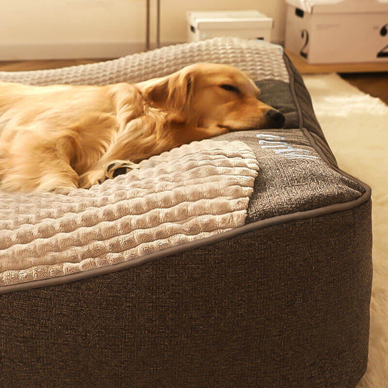 Dog Bed | Large Orthopedic Cushion with Spine Protection & Scratch-Resistant Design for Enhanced Comfort 2