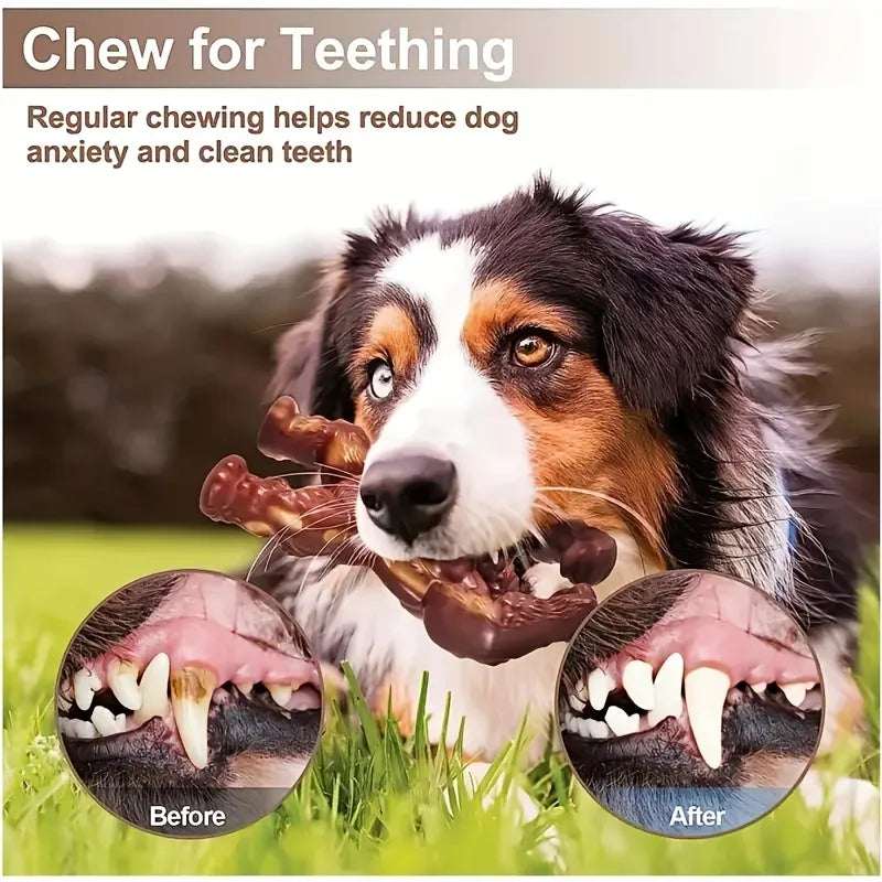 Durable Dog Chew Toy | Indestructible Dog Toys with Teeth Cleaning Feature | Tough Companion for Heavy Chewers 4