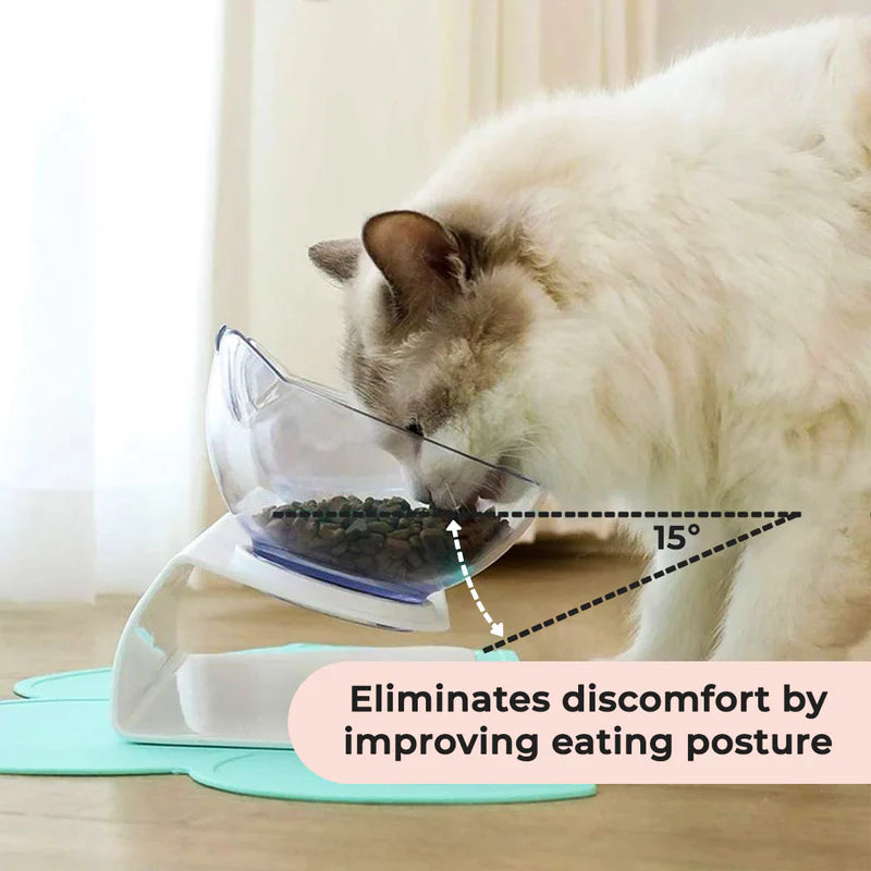 Ergonomic Elevated Cat Bowl | Anti-Vomiting Design for Healthy Eating 4