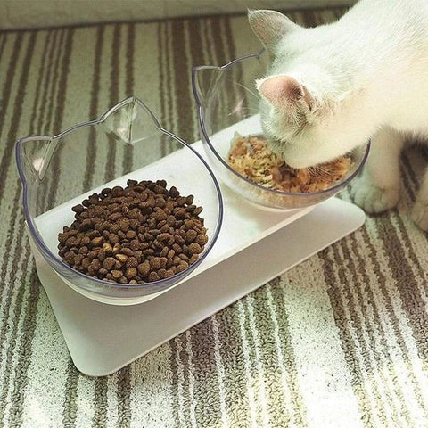 Ergonomic Elevated Cat Bowl | Anti-Vomiting Design for Healthy Eating 6