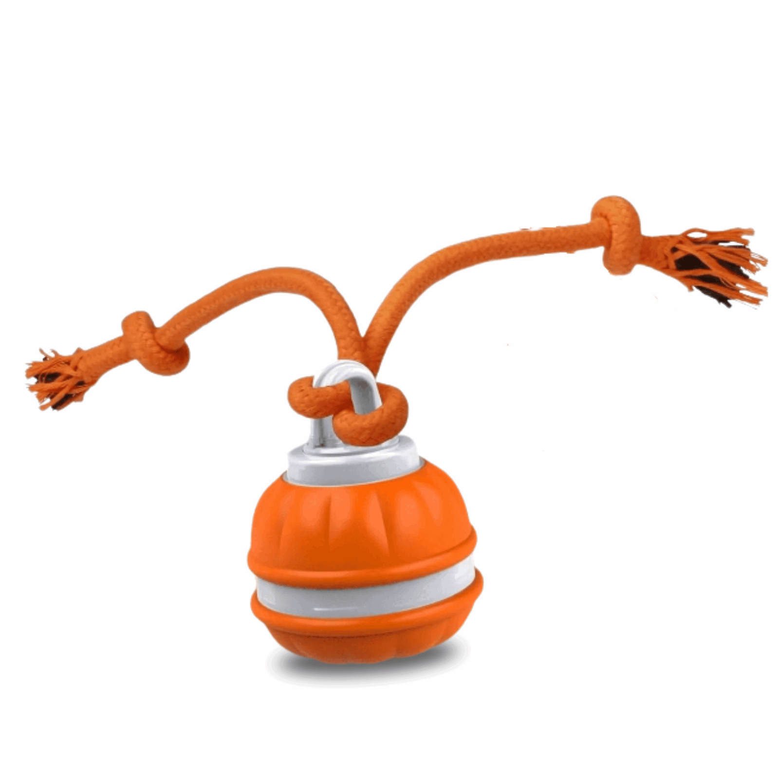 Interactive Dog Toy | BiteRoll with Multiple Play Modes | Engaging Dental Health for Your Puppy 1