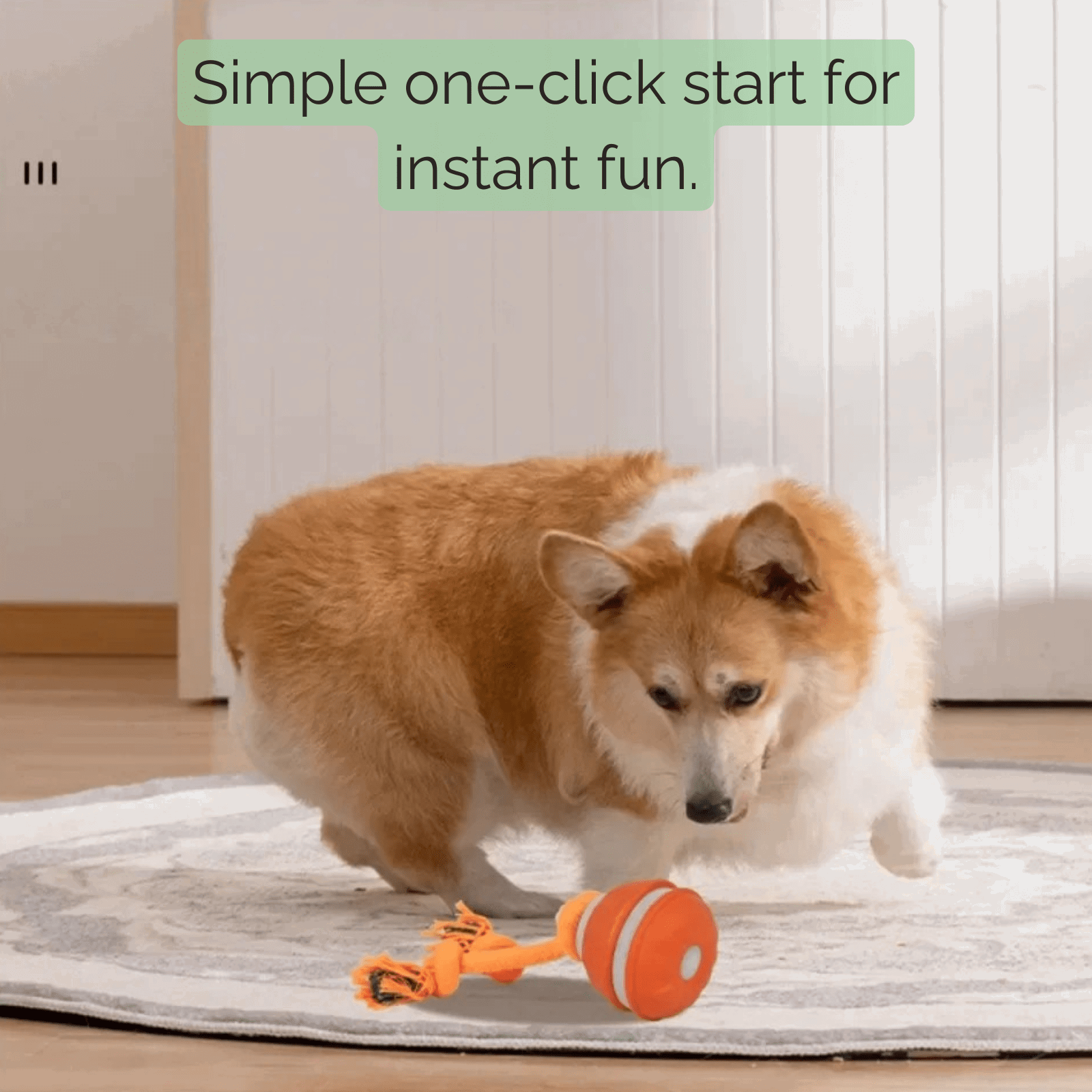 Interactive Dog Toy | BiteRoll with Multiple Play Modes | Engaging Dental Health for Your Puppy 3