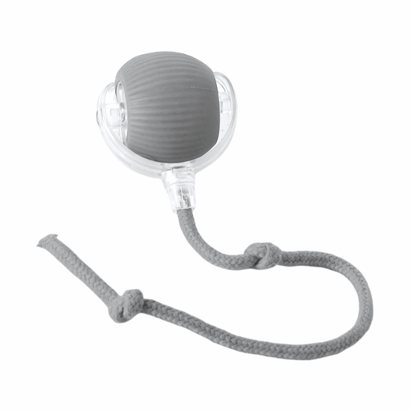 Interactive Dog Toy | Unpredictable Movement for Engaging Playtime | USB-C Rechargeable for Mental and Physical Exercise 4