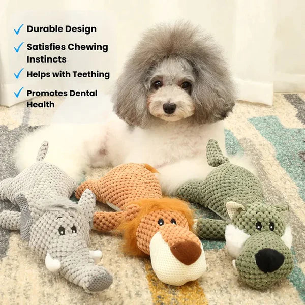 Invinci Paw | Heavy-Duty Dog Chew Toy with Teeth Cleaning Design | Durable Companion for All Chewers 2