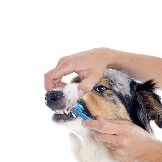 PawCare | Dog Toothbrush with 3-Sided Bristles & Ergonomic Handle | Efficient Dental Care for Healthy Teeth 1