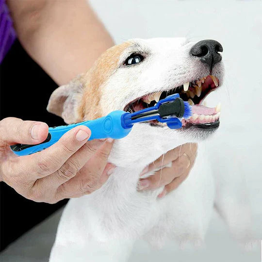 PawCare | Dog Toothbrush with 3-Sided Bristles & Ergonomic Handle | Efficient Dental Care for Healthy Teeth 2
