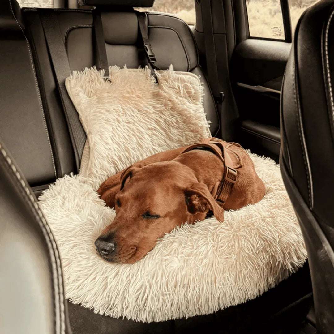 RideBuddy – The Premium Car Seat for Relaxed Dog Travels 0
