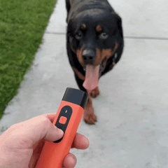 Ultrasonic Dog Training Device
