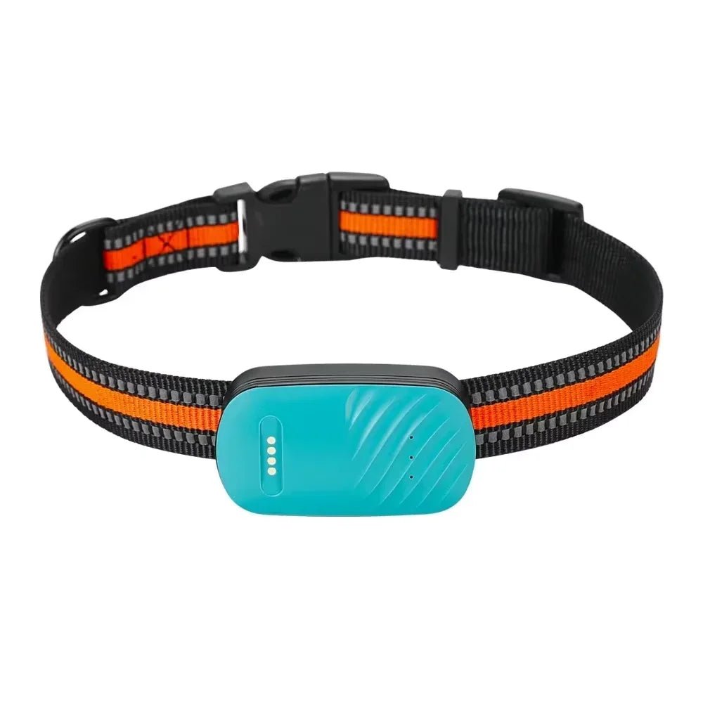 4G GPS Tracker for Dogs and Cats 9