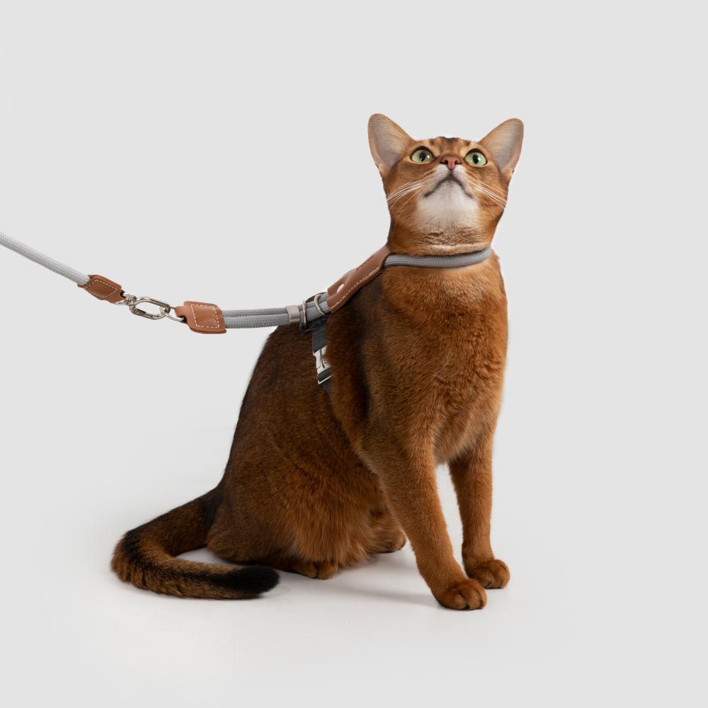 Adjustable H-Style Cat Harness and Leash Set with Premium Leather Finish | Comfortable & Secure Fit for Cats 8