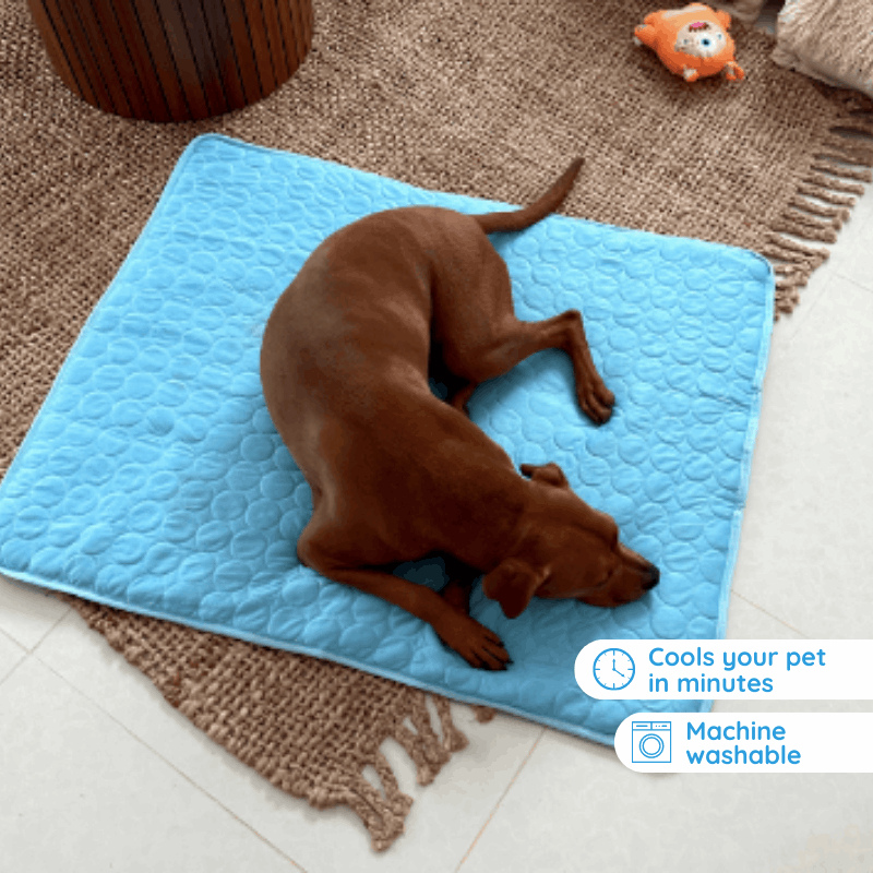 Calm Pet | Dog Cooling Mat with 3-Layer Design | Comfortable Relief from Heat 3