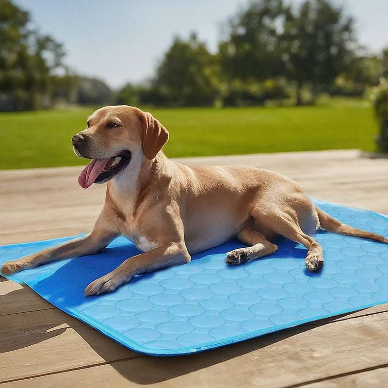 Calm Pet | Dog Cooling Mat with 3-Layer Design | Comfortable Relief from Heat 2