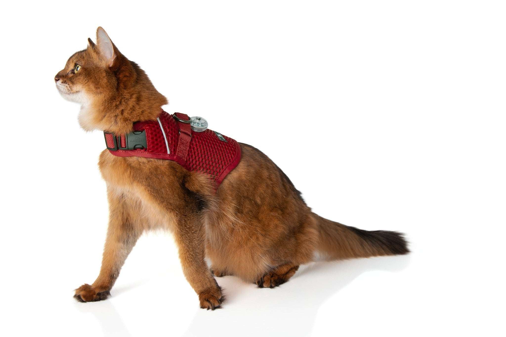 Calming Cat Harness and Leash Set with Adjustable Fit | Martingale Design for Anxiety Relief 12