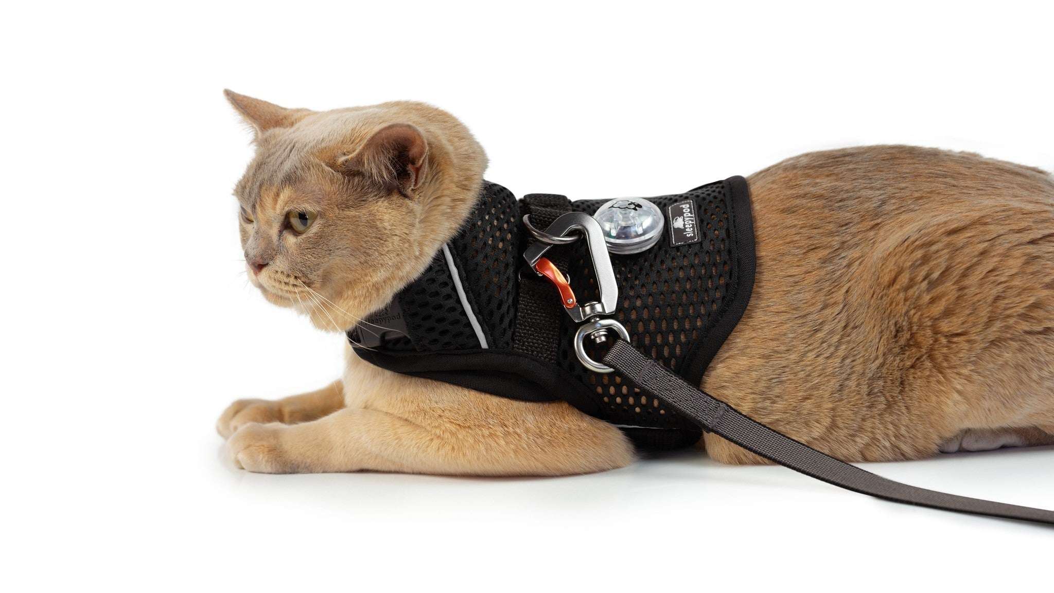 Calming Cat Harness and Leash Set with Adjustable Fit | Martingale Design for Anxiety Relief 6