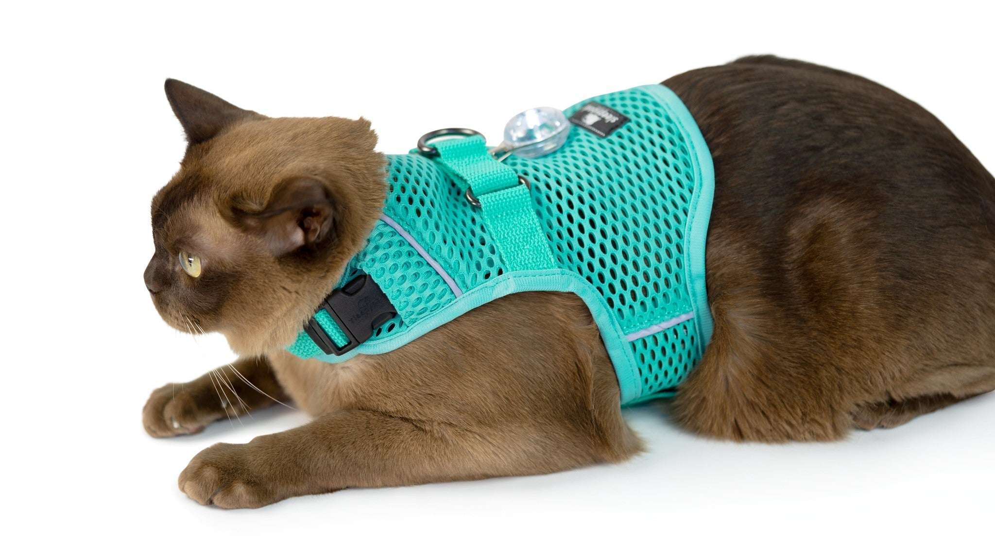 Calming Cat Harness and Leash Set with Adjustable Fit | Martingale Design for Anxiety Relief 9