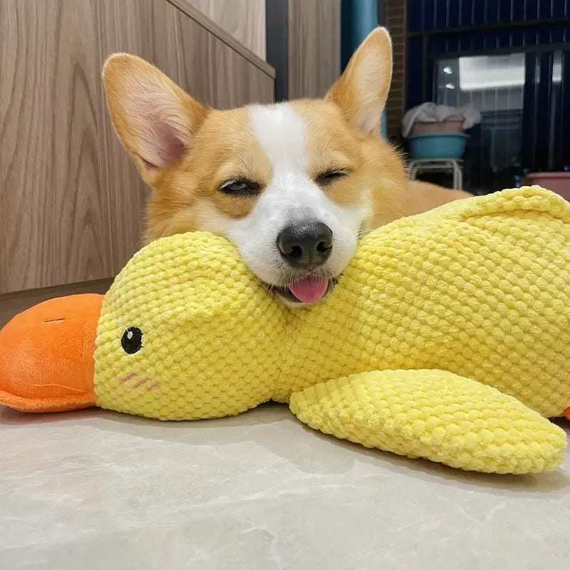 Calming Duck | Tough Dog Toy with Quacking Sound | Interactive Play for All Dogs 2
