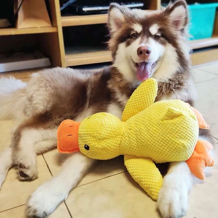 Calming Duck | Tough Dog Toy with Quacking Sound | Interactive Play for All Dogs 4