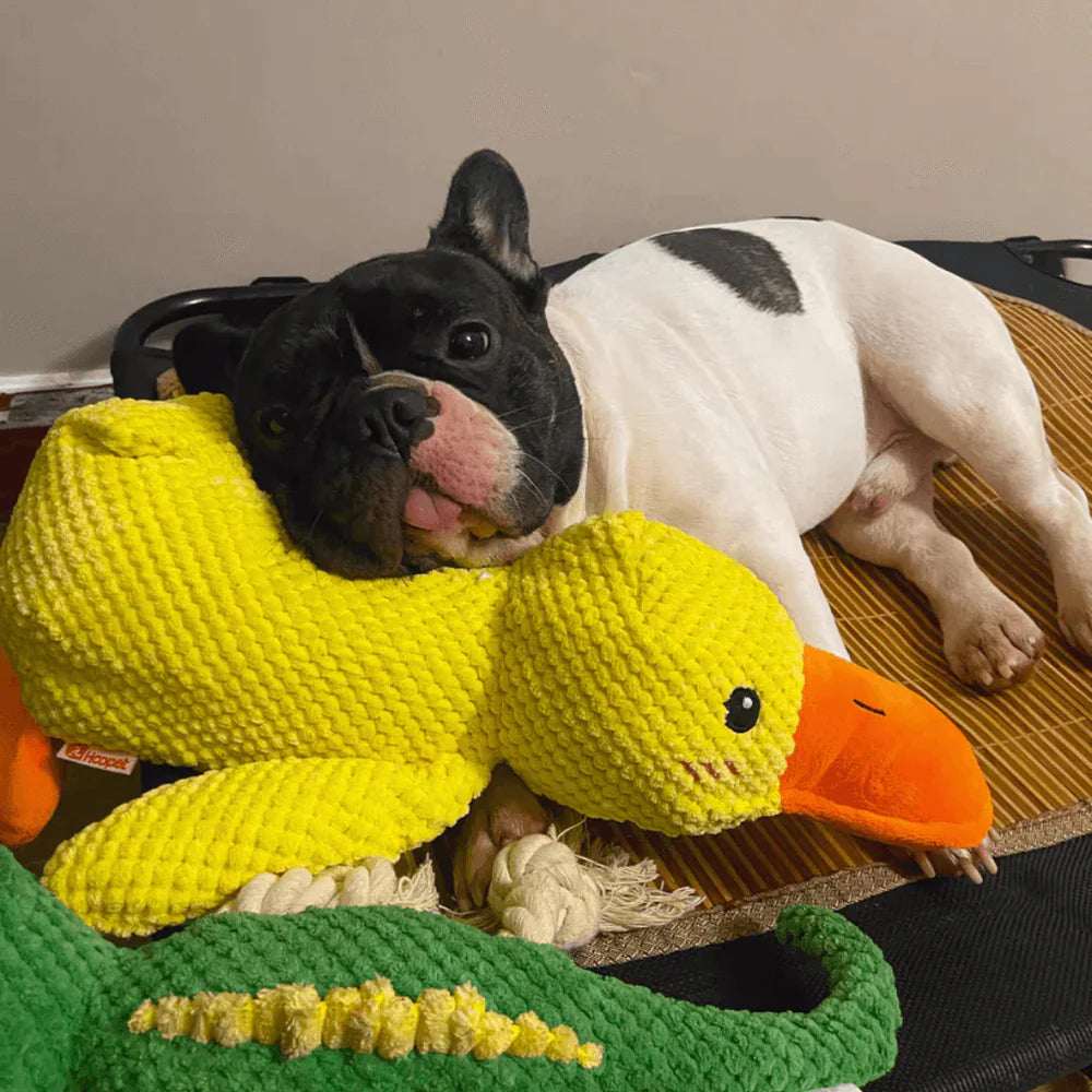 Calming Duck | Tough Dog Toy with Quacking Sound | Interactive Play for All Dogs 6