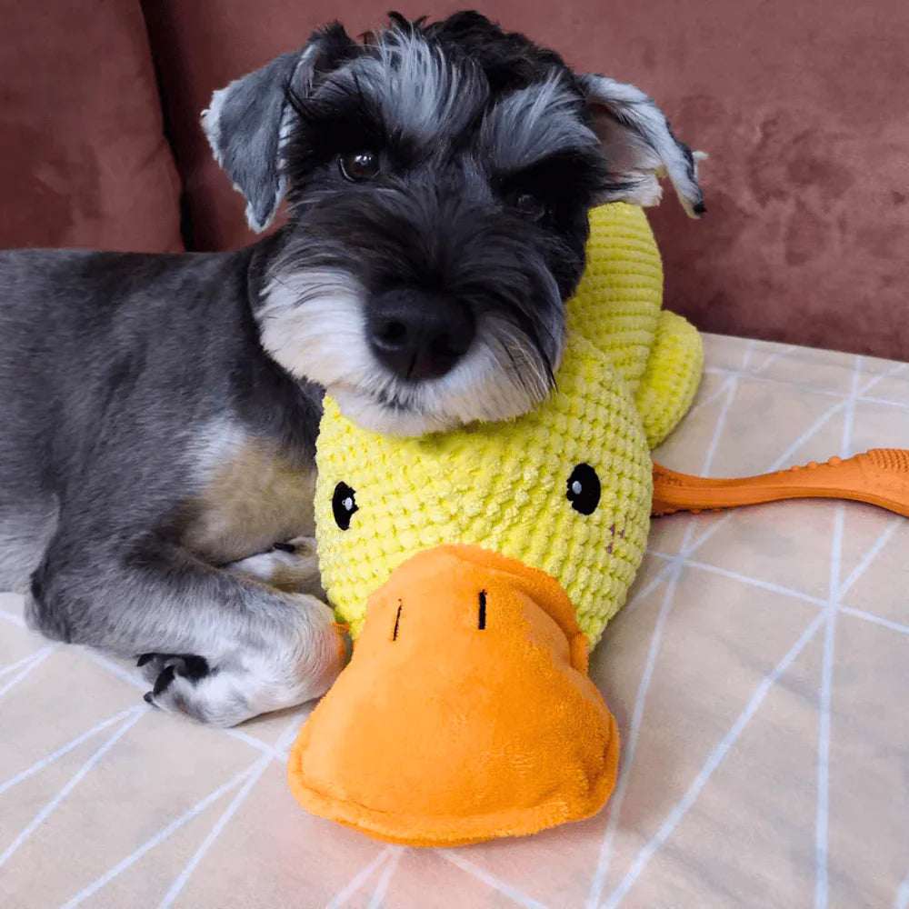 Calming Duck | Tough Dog Toy with Quacking Sound | Interactive Play for All Dogs 7