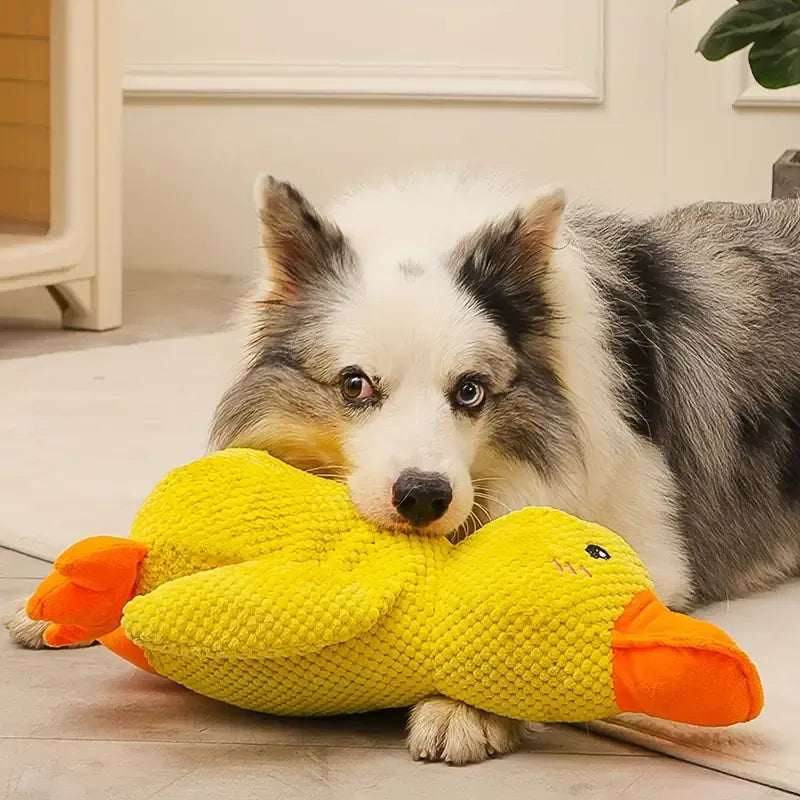Calming Duck | Tough Dog Toy with Quacking Sound | Interactive Play for All Dogs 1