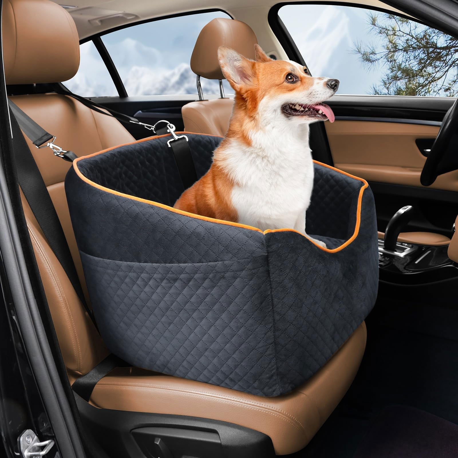 Car Seats For Dogs | Elevated Dog Booster Seat For Small Dogs Under 16 Kg | Safe, Comfortable Car Travel 0