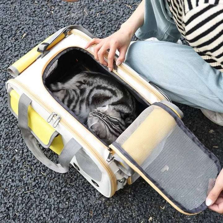 Cat Carrier | Travel Pet Carrier with Multiple Entry Points | Durable Oxford Cloth | Adjustable Shoulder Strap for Small to Medium Pets 6