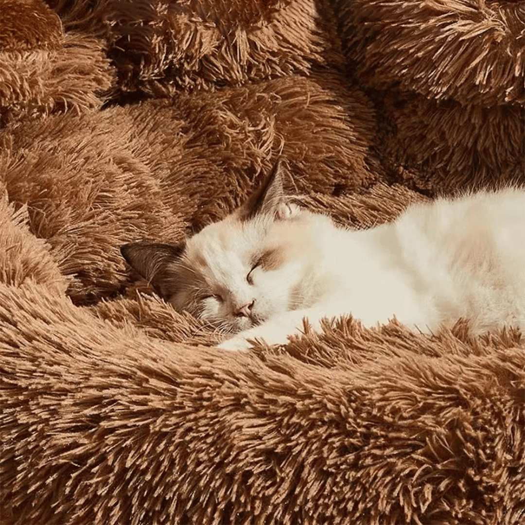 Dog Bed | Fluffy Paw-Shaped Design | Ultra-Soft Plush Material | Raised Edges for Secure Support 7