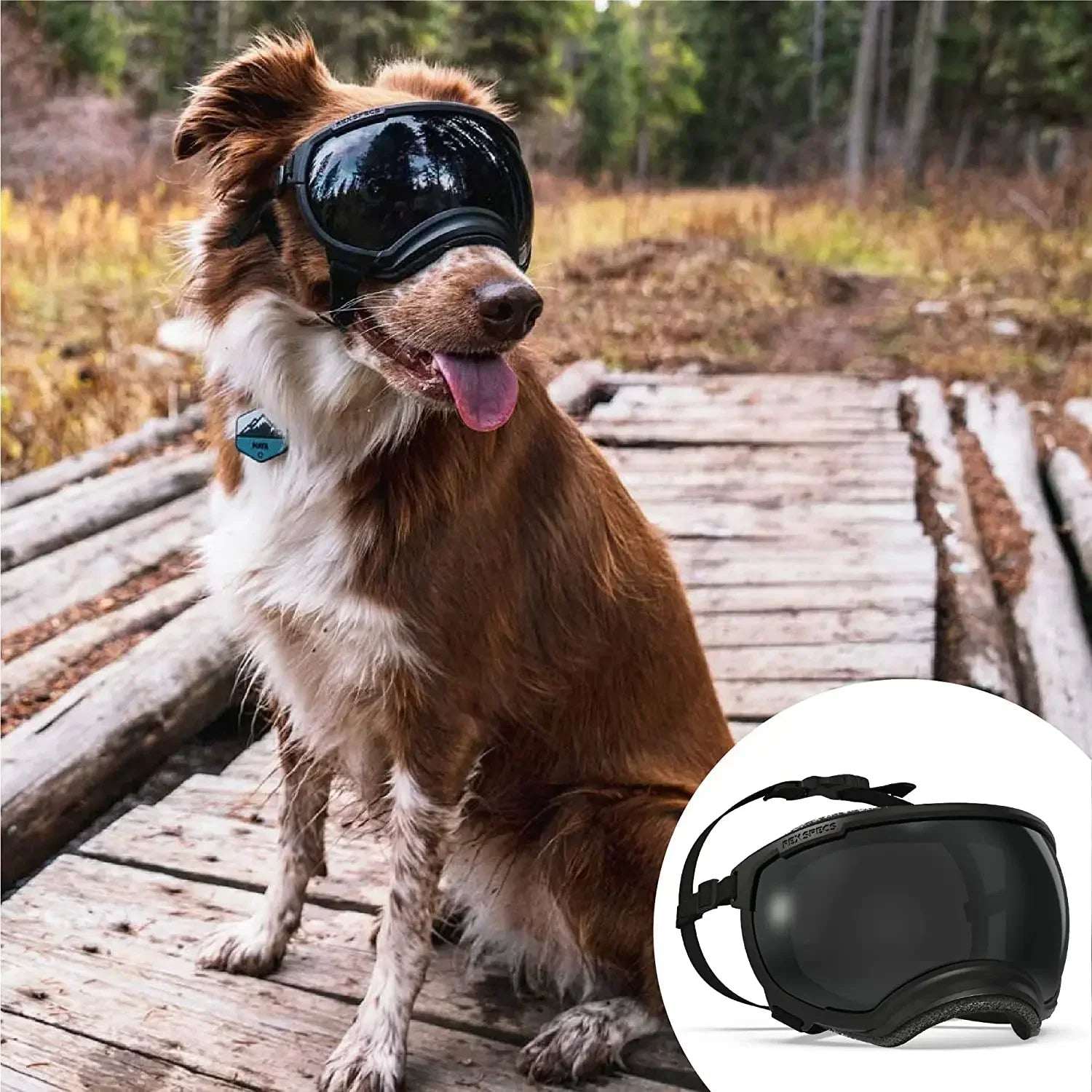 Dog Goggles | UV Protection & Windproof Canine Sunglasses with Adjustable Straps for Active Dogs 8