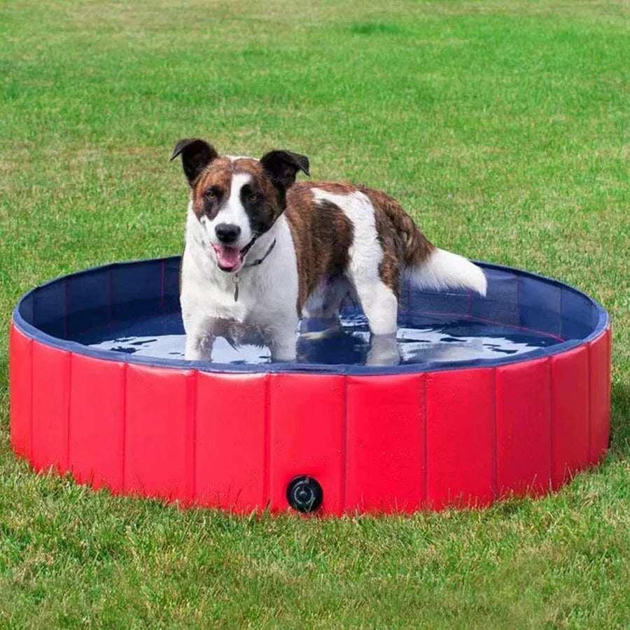Dog Pool | Foldable Dog Swimming Pool for Bathing & Play | Durable Composite Fabric, Tool-Free Setup 0