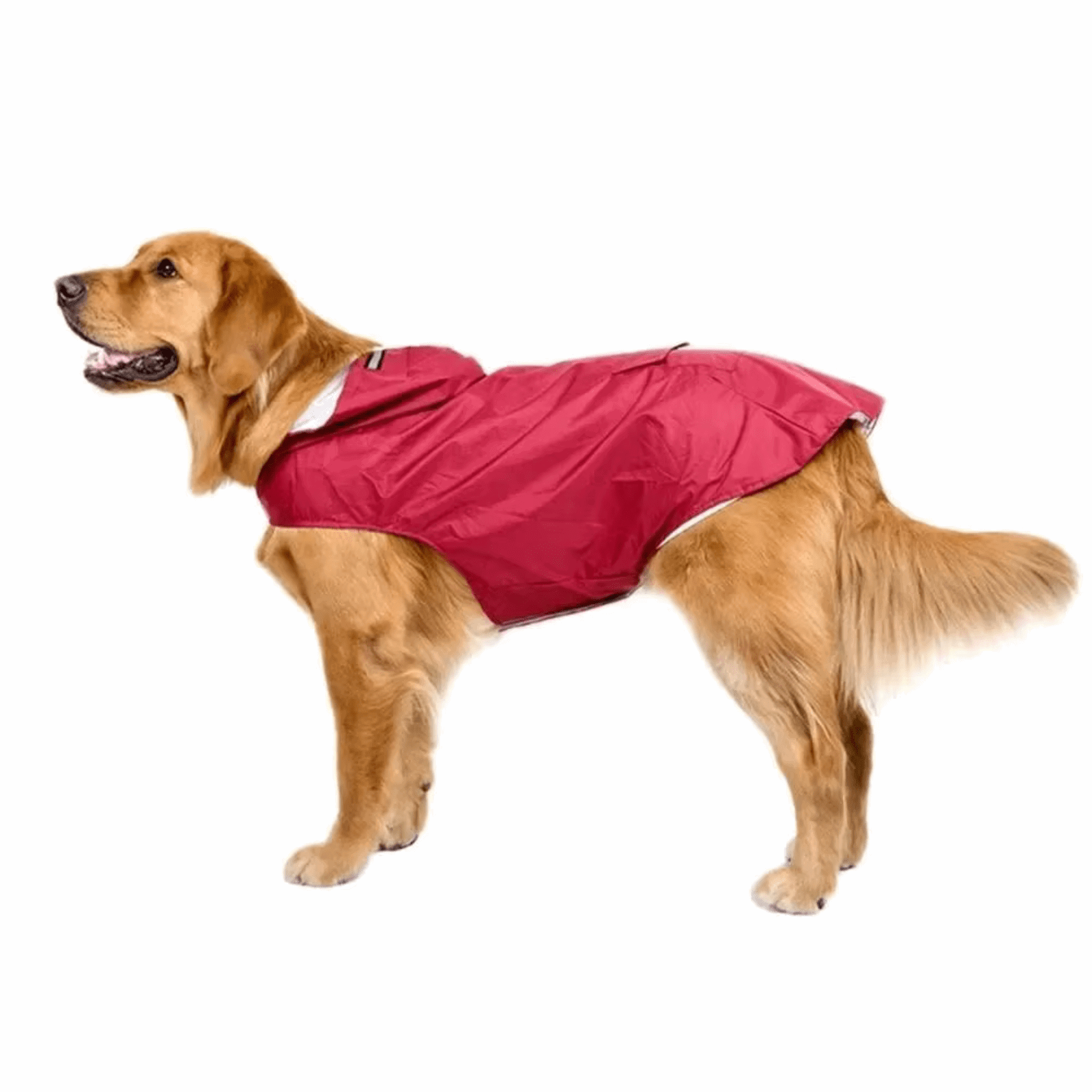 Dog Raincoat | Waterproof Polyester with Reflective Safety Band | Ultimate Rain Protection for Dog Walking 0
