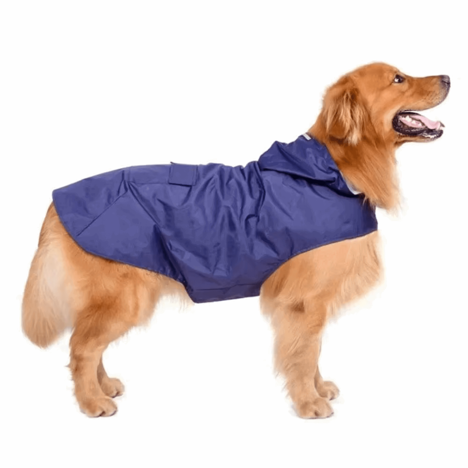 Dog Raincoat | Waterproof Polyester with Reflective Safety Band | Ultimate Rain Protection for Dog Walking 5