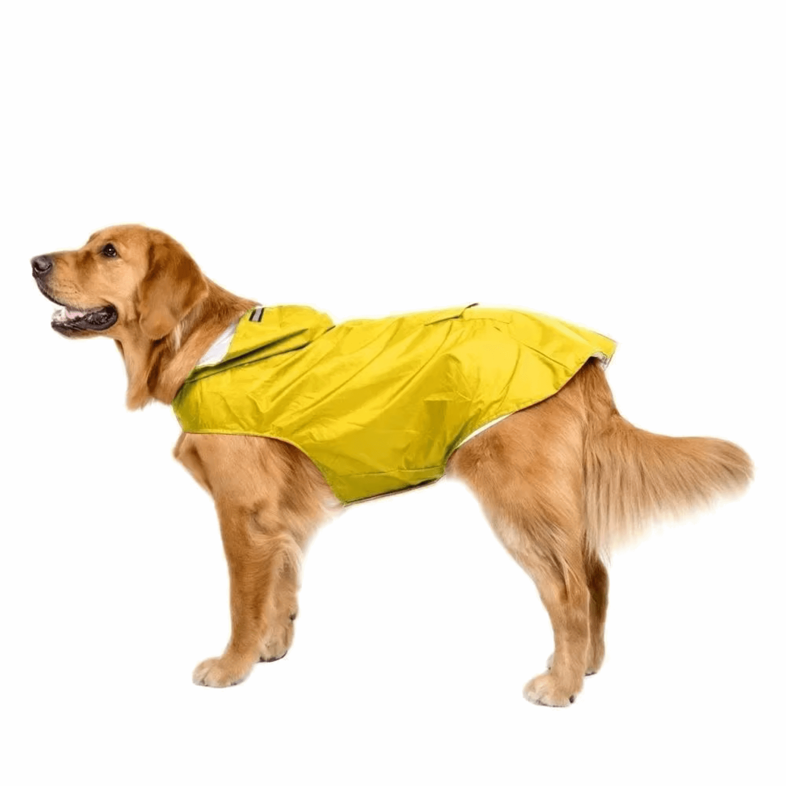 Dog Raincoat | Waterproof Polyester with Reflective Safety Band | Ultimate Rain Protection for Dog Walking 6