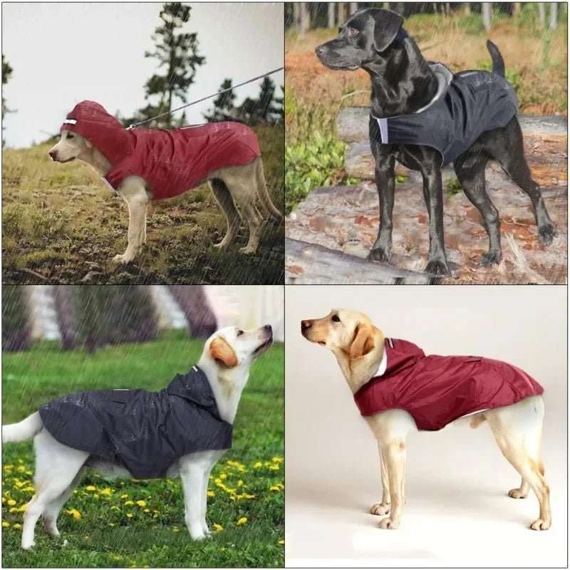 Dog Raincoat | Waterproof Polyester with Reflective Safety Band | Ultimate Rain Protection for Dog Walking 2