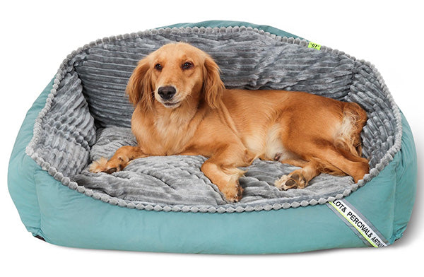 Dog Bed | Thickened Warm Design | Soft Hypoallergenic Fabric | Anti-Slip & Machine Washable 1