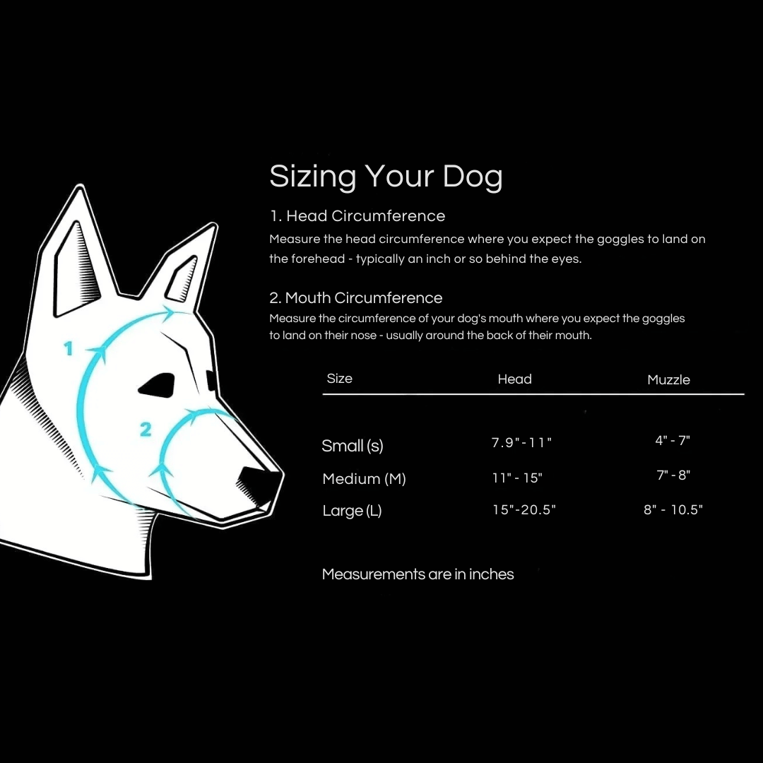 Dog Goggles | UV Protection & Windproof Canine Sunglasses with Adjustable Straps for Active Dogs 6