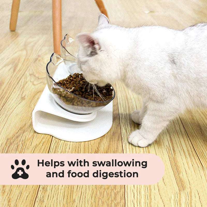 Ergonomic Elevated Cat Bowl | Anti-Vomiting Design for Healthy Eating 3