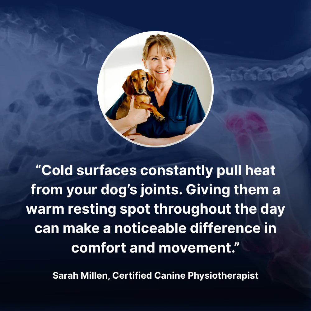 Self-Warming Pet Mat