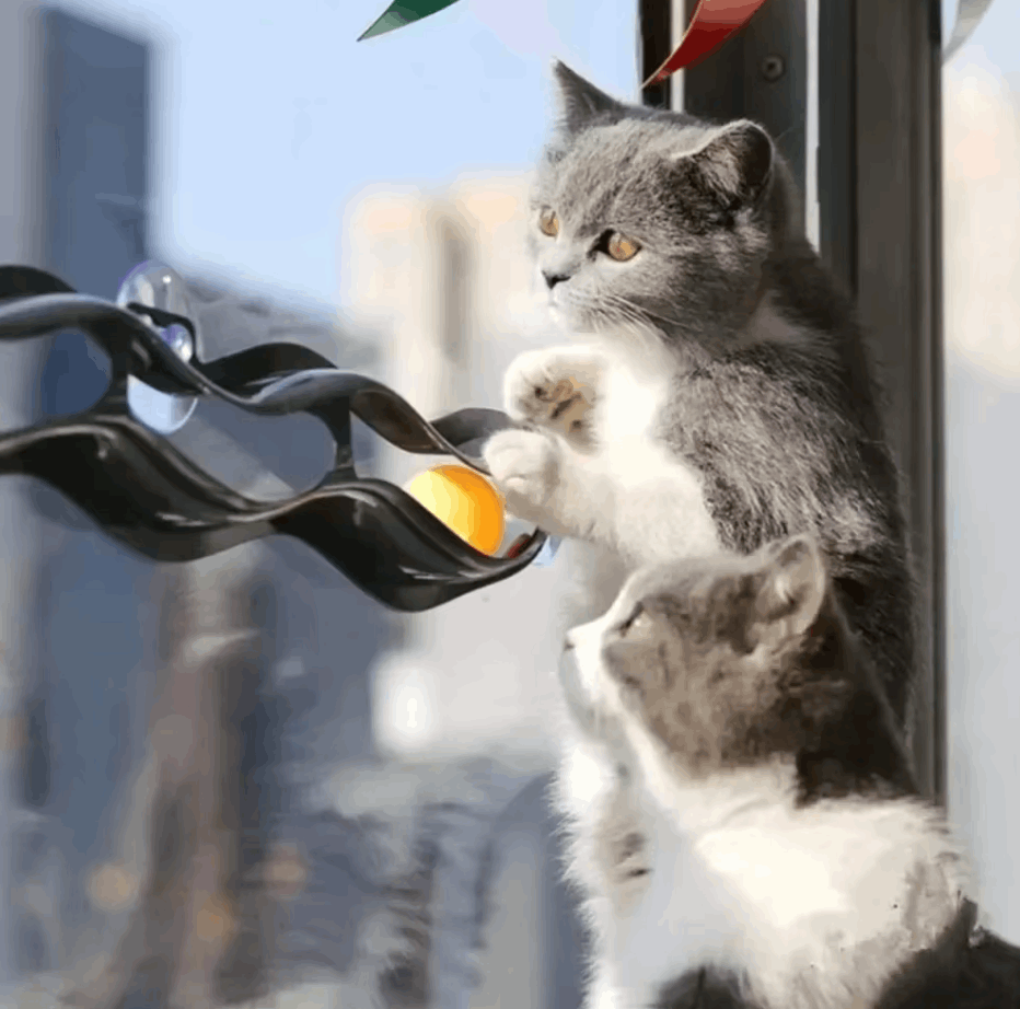 Interactive Cat Toys | Window-Mounted Ball Track with Movable Balls | Engaging Play for Indoor Cats 4