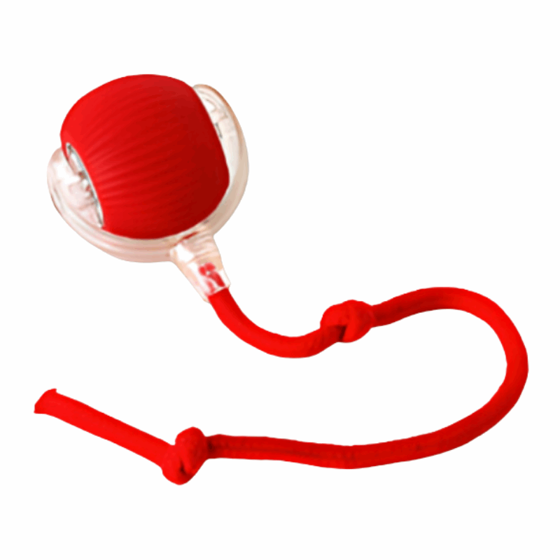 Interactive Dog Toy | Unpredictable Movement for Engaging Playtime | USB-C Rechargeable for Mental and Physical Exercise 0
