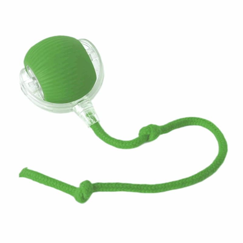 Interactive Dog Toy | Unpredictable Movement for Engaging Playtime | USB-C Rechargeable for Mental and Physical Exercise 3