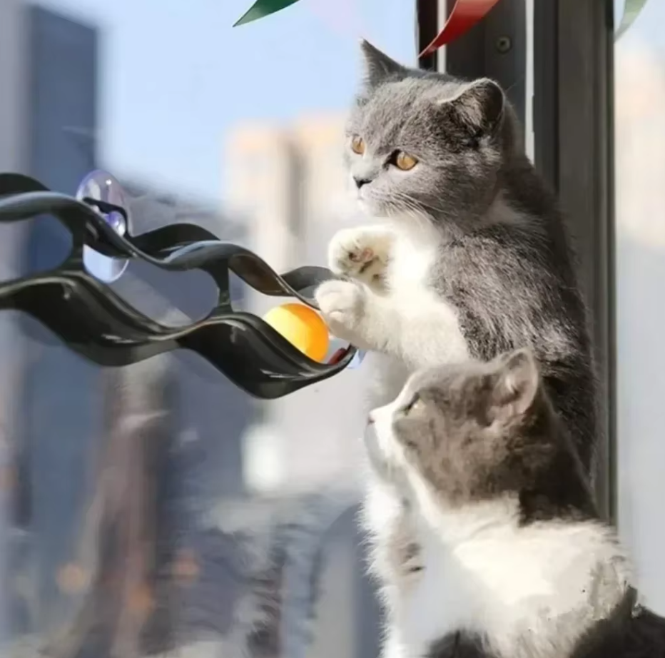 Interactive Cat Toys | Window-Mounted Ball Track with Movable Balls | Engaging Play for Indoor Cats 4